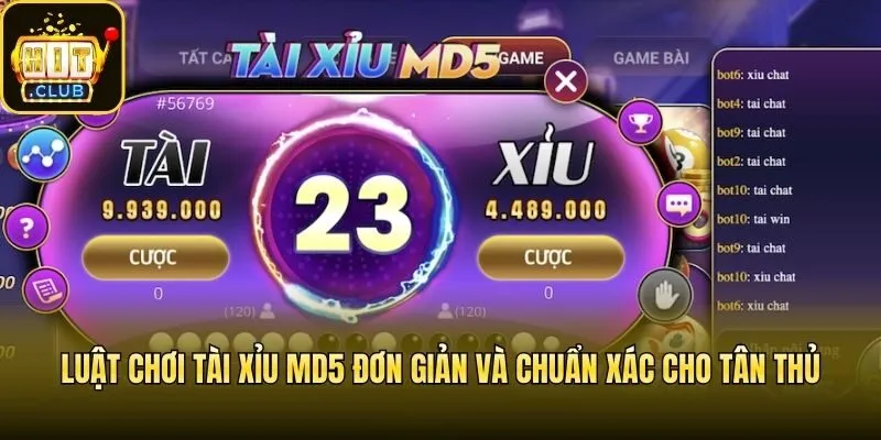 Luật chơi Tài Xỉu MD5 đơn giản và chuẩn xác cho tân thủ